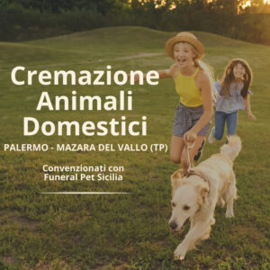 6832010df332361d5d1531da