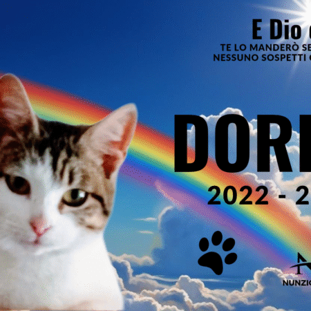 E Dio disse_ te lo manderò senza ali, affinché nessuno sospetti che sia un _20250419_142524_0000